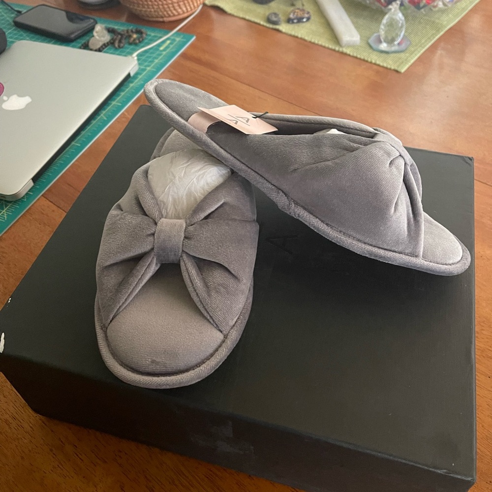 AOverA Free People spa slides